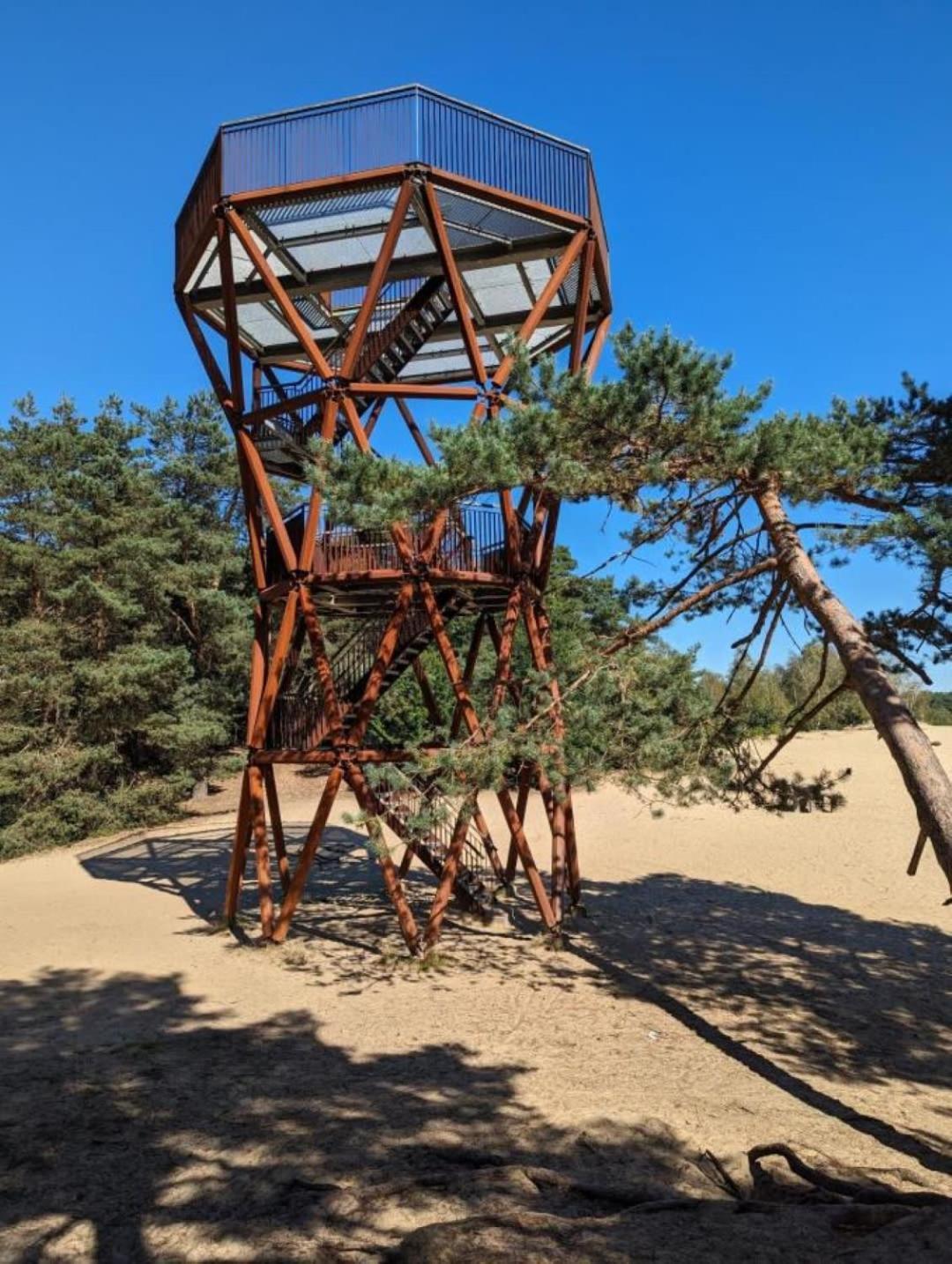 Vakantiehuis Op Rustig Bospark Veluwe 福尔特赫伊曾 外观 照片