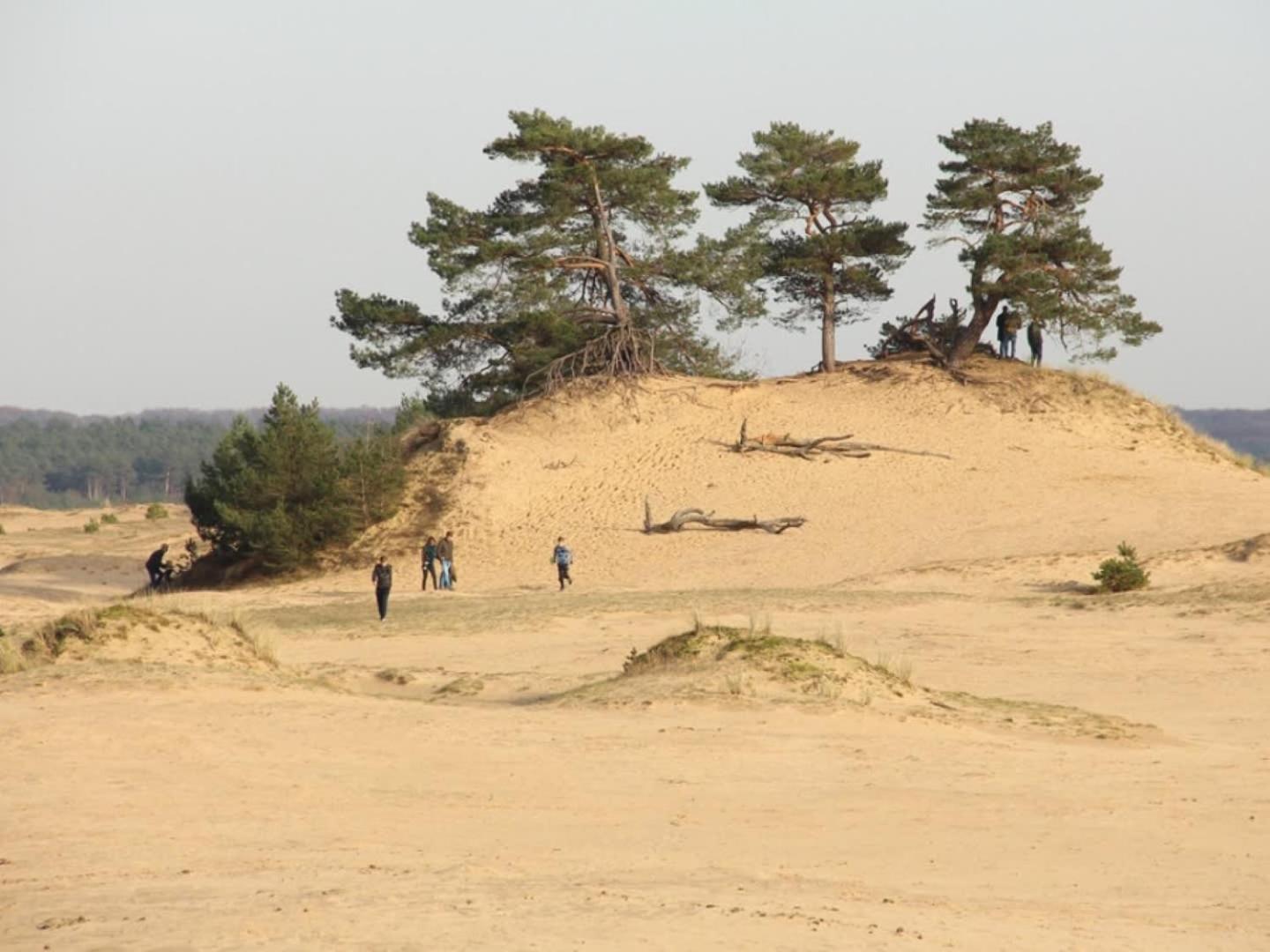 Vakantiehuis Op Rustig Bospark Veluwe 福尔特赫伊曾 外观 照片