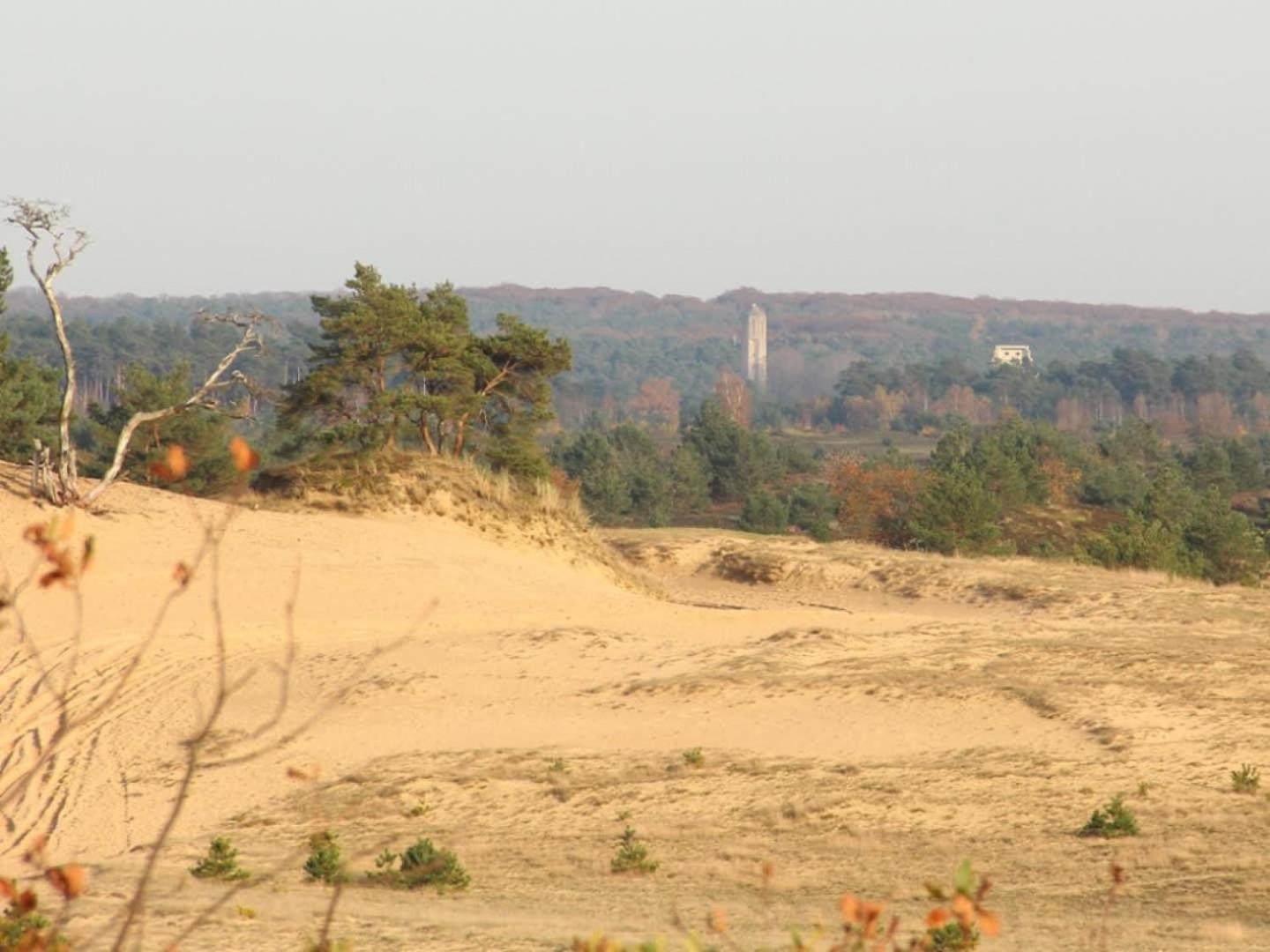 Vakantiehuis Op Rustig Bospark Veluwe 福尔特赫伊曾 外观 照片