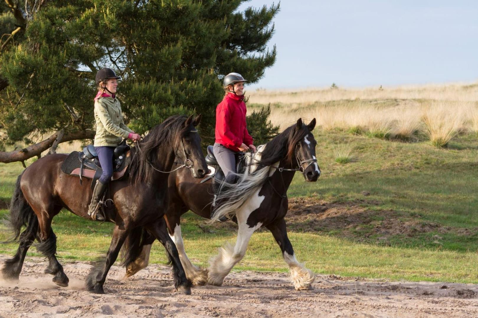 Vakantiehuis Op Rustig Bospark Veluwe 福尔特赫伊曾 外观 照片