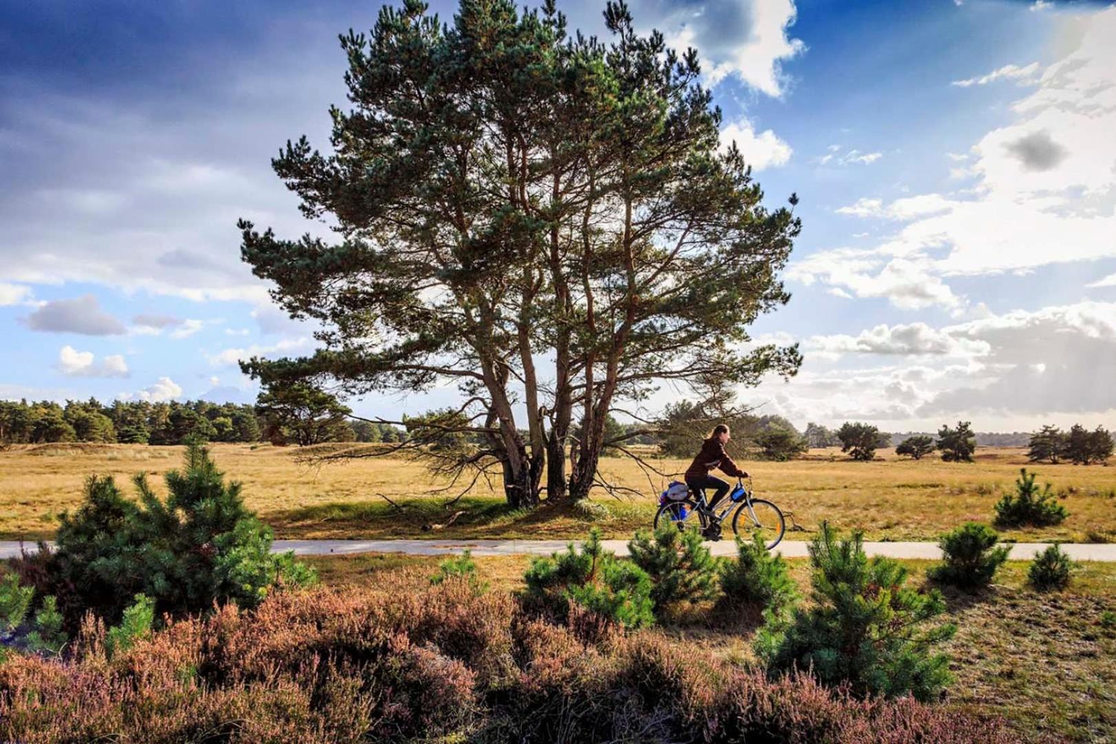 Vakantiehuis Op Rustig Bospark Veluwe 福尔特赫伊曾 外观 照片