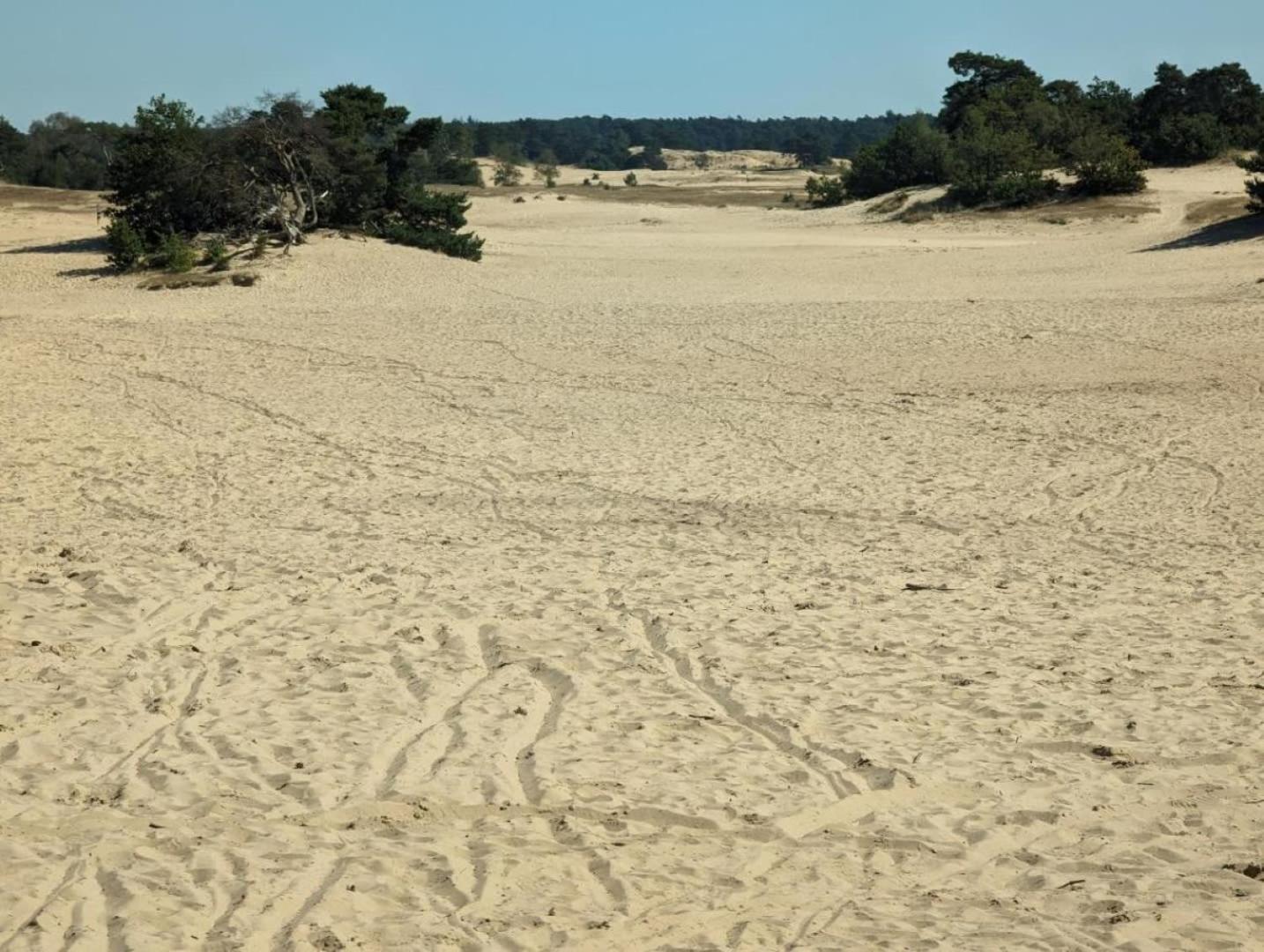 Vakantiehuis Op Rustig Bospark Veluwe 福尔特赫伊曾 外观 照片