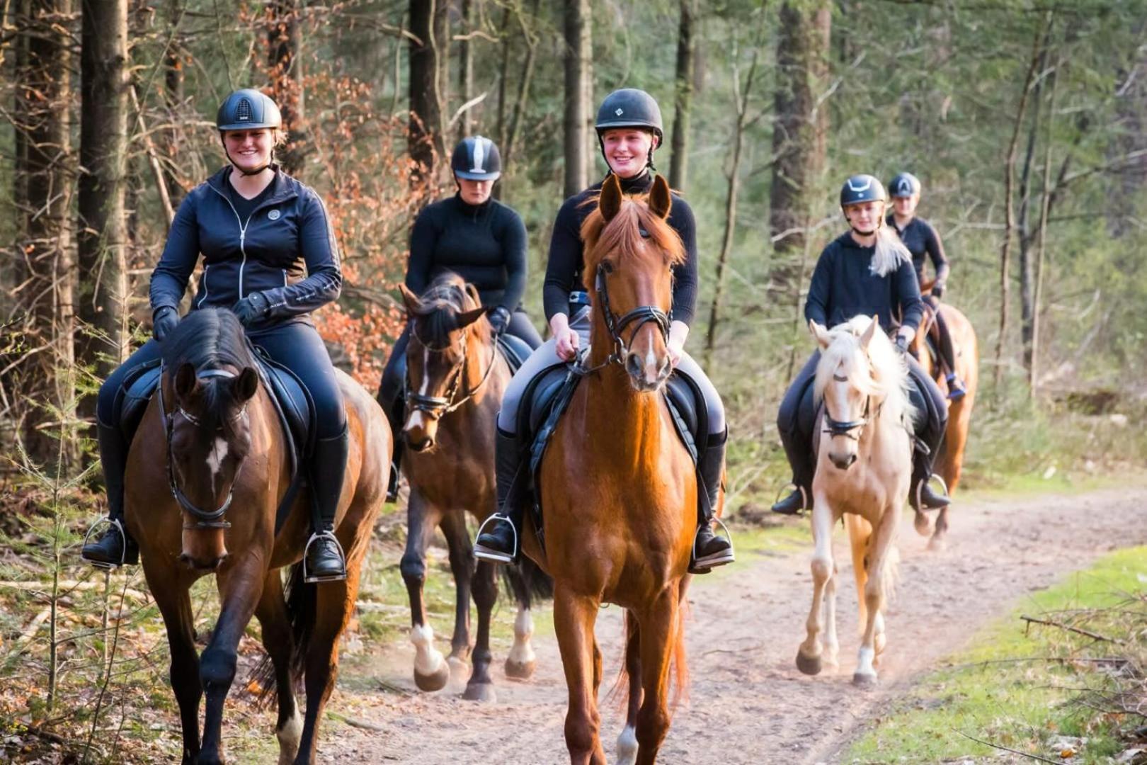 Vakantiehuis Op Rustig Bospark Veluwe 福尔特赫伊曾 外观 照片
