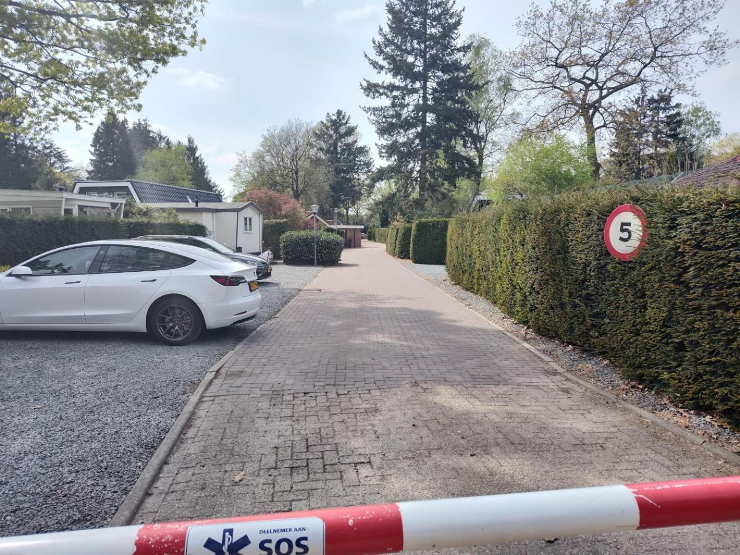 Vakantiehuis Op Rustig Bospark Veluwe 福尔特赫伊曾 外观 照片